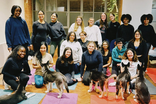 February Newsletter